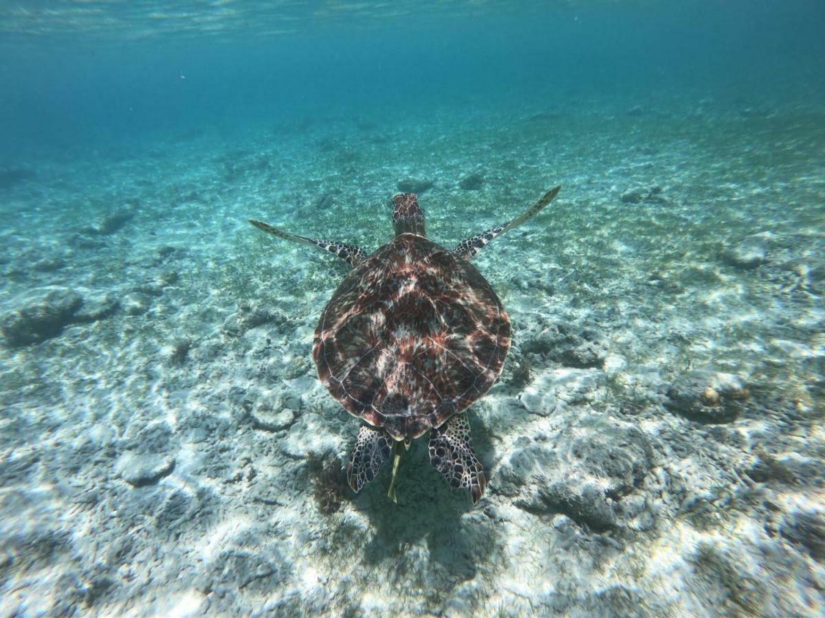 Gili Tenda Gili Trawangan Bagian luar foto